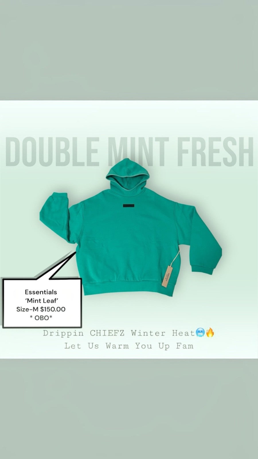 Essentials Hoodie 'Mint Leaf' [Size-M]0