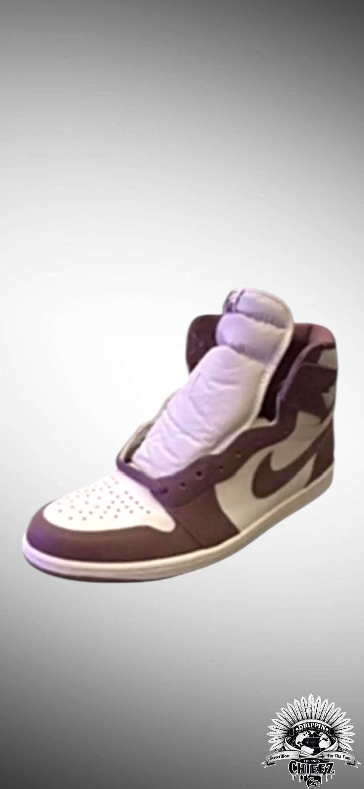 Nike Air Jordan 1 Retro High OG Mauve DZ5485-105 Men’s Size 10.52